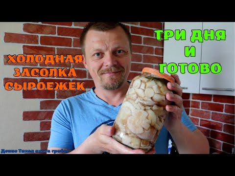 Три дня и готово | Холодная засолка сыроежек