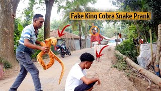 fake snake  prank