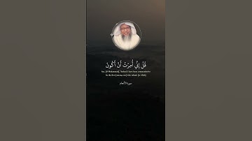 قل أغير الله أتخذ وليا فاطر السموات والأرض وهو يطعم ولا يطعم | الآية 14 من سورة الأنعام