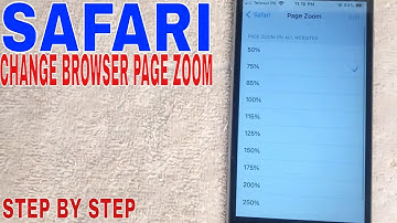 ✅  How To Change Page Zoom On Safari Browser 🔴