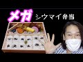 崎陽軒のメガシウマイ弁当は本当にメガ級だった!