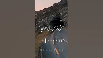 اجمل ترند شوفو قلبي الجامد يحي علاء حالات واتس اب ترند 