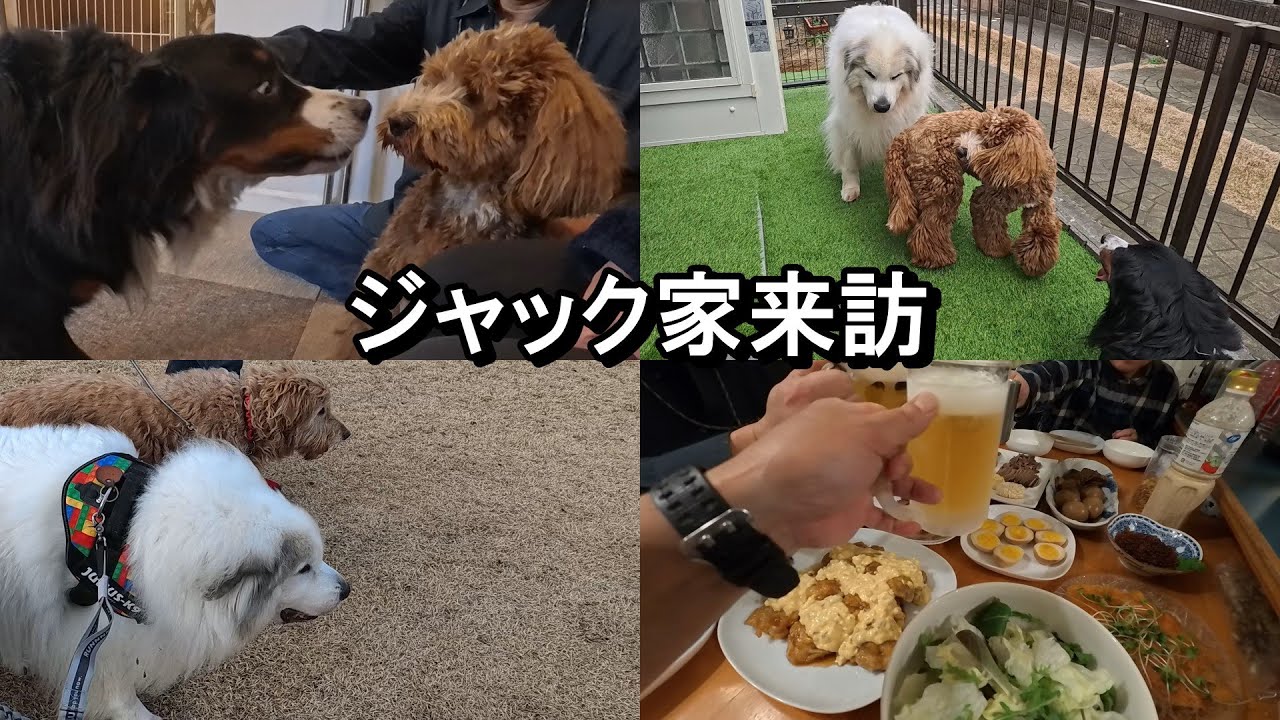 【ラム＆ピコ】ジャック家来訪