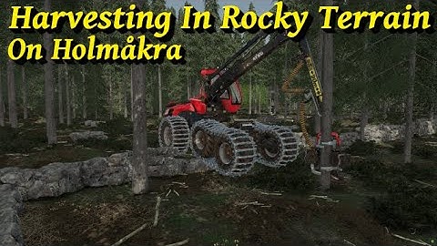 FS22 🌲 | New Area to Cut | Timelapse