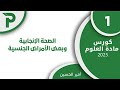 35 الصحة الإنجابية وبعض الأمراض الجنسية علوم بكالوريا 2025