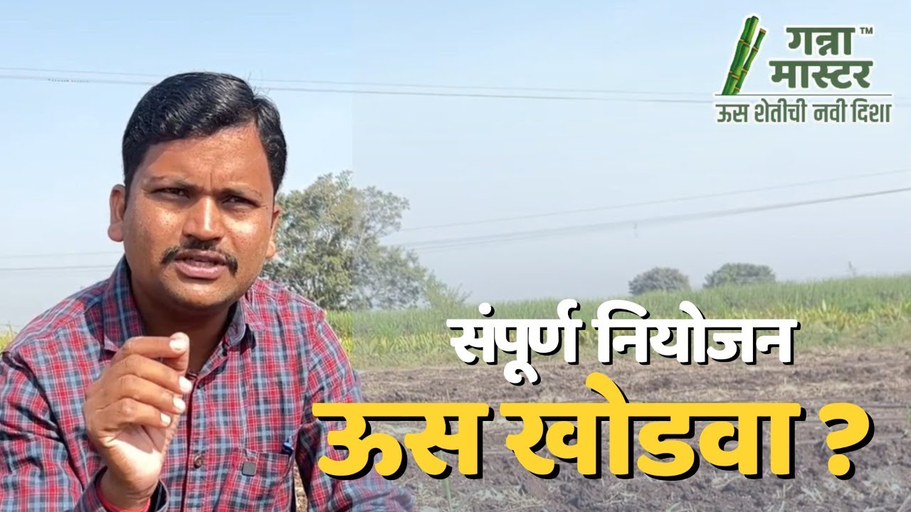 संपूर्ण खोडवा पिकाचे नियोजन | डॉ अंकुश चोरमुले | गन्ना मास्टर तंत्रज्ञान |