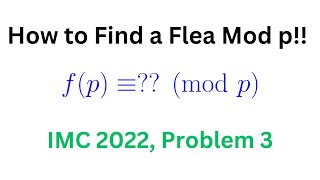 International Mathematics Competition (IMC) 2022, Problem 3, A flea problem modulo p Imc Math Competition