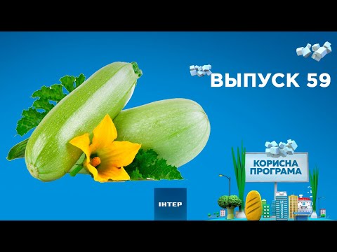 Как выбрать полезный кабачок | «ПОЛЕЗНАЯ ПРОГРАММА». Выпуск 59 — 12.08.2020