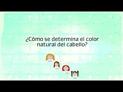 Video: Cómo Determinar El Color Del Cabello De Un Niño