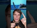 ECCO COSA ACCADREBBE SE VENISSI INGOIATO DA UNA BALENA! #shorts