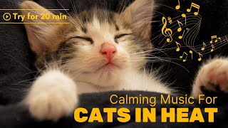 Music For Cats In Heat (Calming Sound To Relax Your Kitty) TESTED