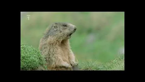 Co je kanalizace pro veřejnou potřebu?