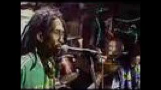 reggae bali - mr.sunshine