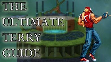 The Comprehensive Guide To Terry | SSF2 Project PS