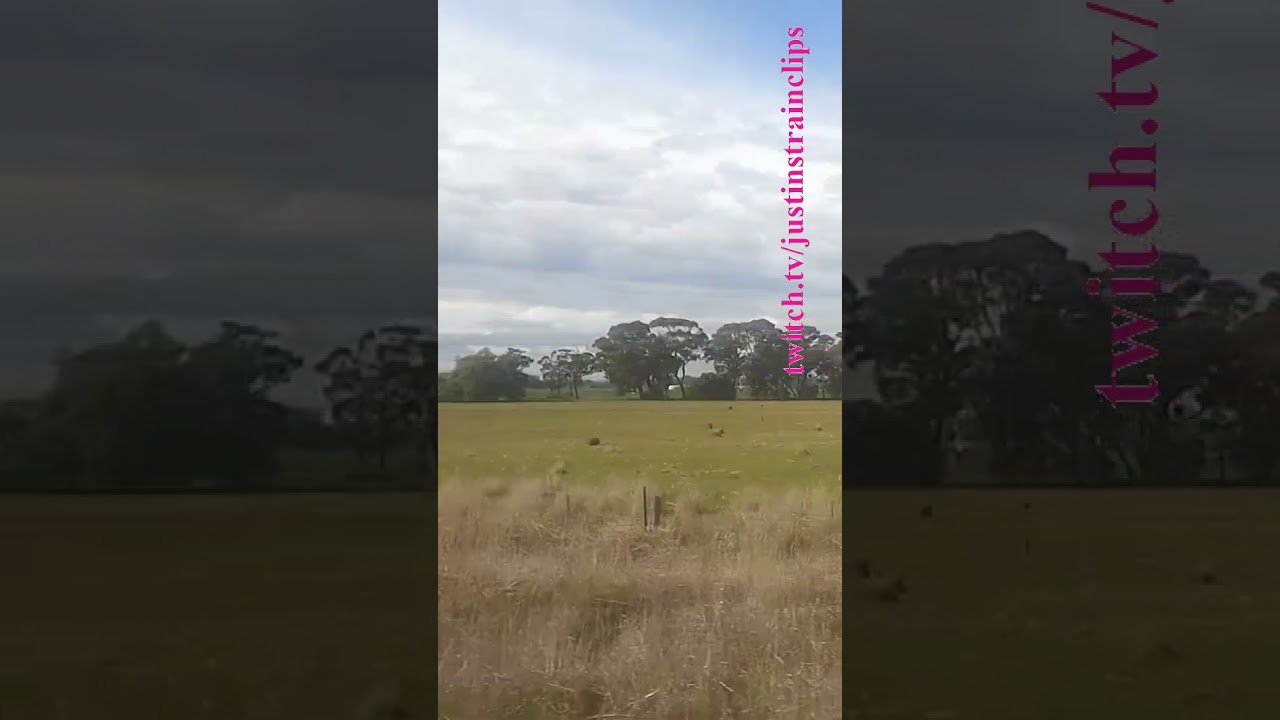 Steamrails Transfer Newport-Glen Waverley 060724 