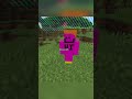 Minecraft in One Chunk