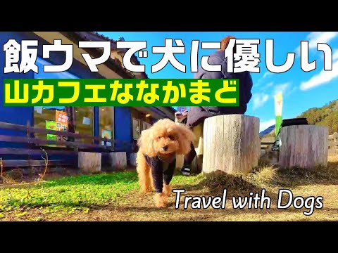 【グルメ旅】山に囲まれたカレーの旨い「山カフェななかまど」は犬にも優しいカフェでした｜カフェ｜グルメ旅｜栃木県鹿沼市｜犬OKカフェ｜INUVAN│バンライフ│キャンピングカー