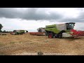Claas - Fendt / Getreideernte - Grain Harvest  2021