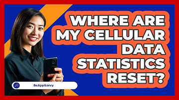 Where Are My Cellular Data Statistics Reset?