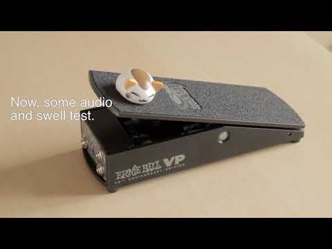 Ernie Ball VP