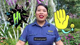 Question Time with Experience Ranger and Concierge