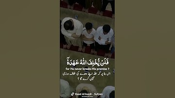 Raad Al kurdi Whatsapp status with Urdu English translation|رعد الكردي حالات واتس اب|سورة البقرة