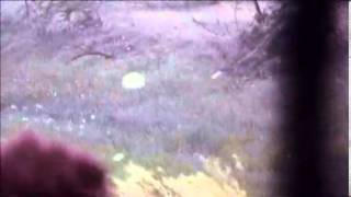 Weather Caught On Camera: Pounded By Hail
