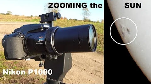 Nikon P1000 Zooming The Mon