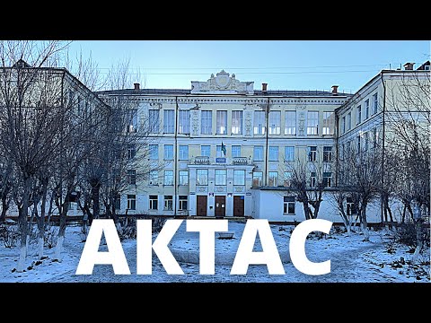 Video: Көчөттөр көчүп келе жаткан компанияларга караганда арзаныраакпы?