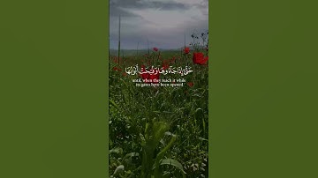 ✨ وَسِيقَ ٱلَّذِينَ ٱتَّقَوْا۟ رَبَّهُمْ إِلَى ٱلْجَنَّةِ زُمَرًا ✨ | عبدالعزيز سحيم | تلاوة خاشعة