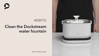 Clean the Water Fountain | PETLIBRO Dockstream Battery-operated Water Fountain