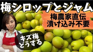 梅農家直伝！梅ジャムとシロップ　キズ梅も無駄なくおいしく