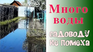 Вода в огороде. Вода на даче - получим урожай.