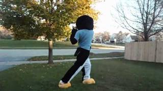 Download Lagu 10-26-11: FEAR THE PENGUIN...Costume? MP3