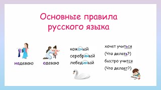 Основные правила русского языка