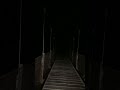 深夜の吊り橋 #Shorts