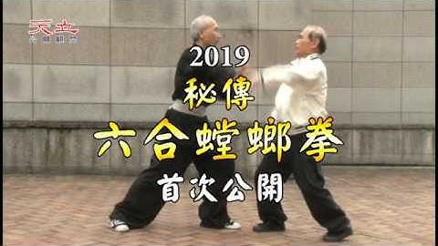 秘傳六合螳螂拳 - 首次公開!