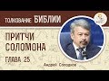 Притчи Соломона. Глава 25. Андрей Солодков. Библия