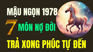 Tuổi Mậu Ngọn 1978, Thần phật chỉ rõ, có 7 món nợ đời, Trả xong rồi, Hậu vận an nhàn sung túc.