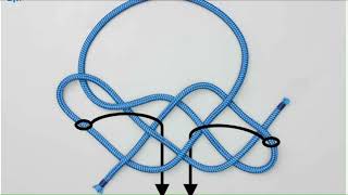 Master the Fiador Knot: Essential Component for Crafting Rope Halters & Hackamores Master the Fiador Knot: Essential Component for Crafting Rope Halters & Hackamores