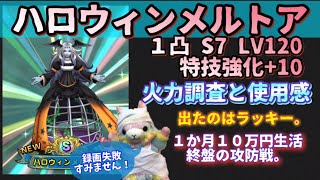 【ドラクエタクト】ハロウィンメルトア１凸のLV120特技強化+10火力調査　育てて参りました！