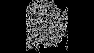 MORPHOGENESIS VII #morphogenesis #touchdesigner  #pattern  #motazari #turingpattern #generativeart