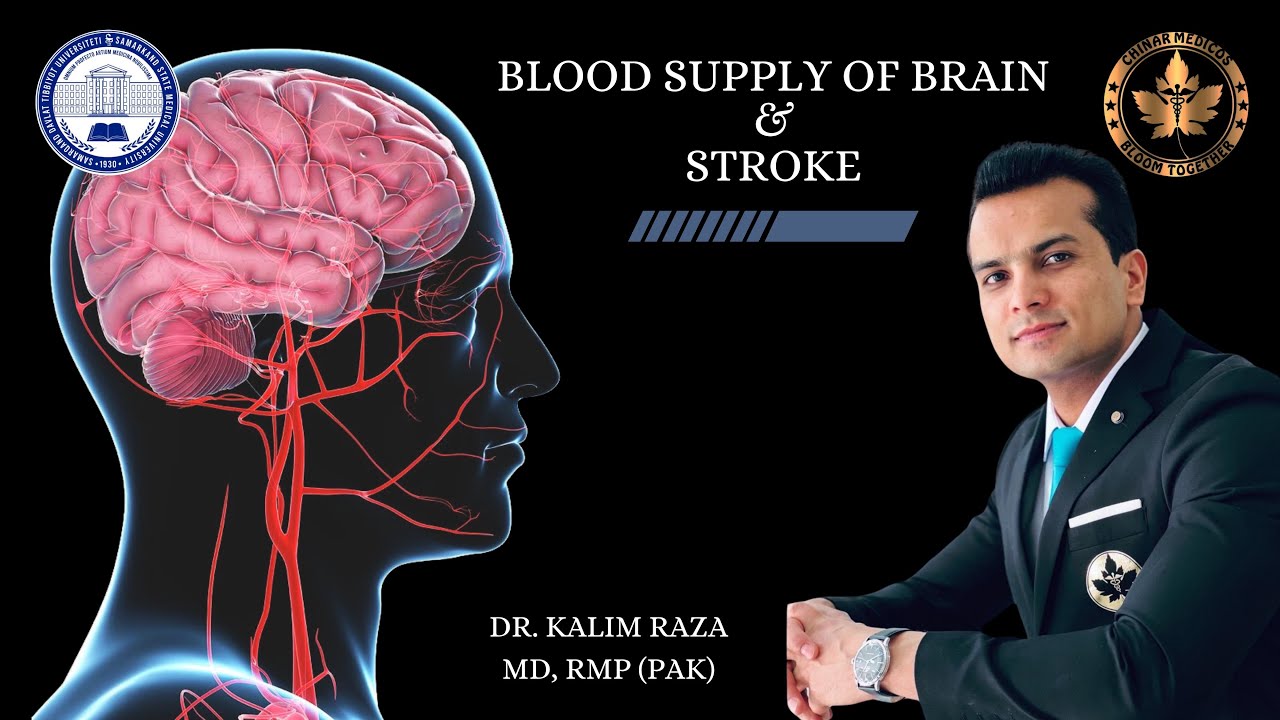 Blood supply of brain part 2 || strokes || circle of Willis # ...