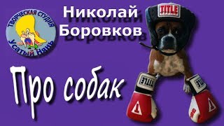 О собаках. Николай Боровков.Мульт #стих Какие бывают собаки.Деткам и малышам. О собаках. Николай Боровков.Мульт #стих Какие бывают собаки.Деткам и малышам.