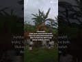 Motivasi Diri #motivasidiri #katakatabijak #shorts #musikvlog #hiburan #viral #vlog #didesa #sawah