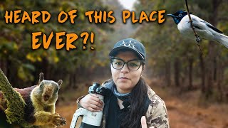 Look what I spotted in Sahyadri Tiger Reserve? | ATR DAILY VLOGS- 64