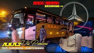 WAJIB TEMBUS‼️Trip Akas IV Surabaya - Banyuwangi via Situbondo || 2023