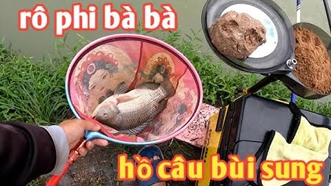 Anh Hảo _ Chia Sẻ Bài Câu Rô Phi Bà Bà Ở Hồ Câu Dịch Vụ | Đơn Giản Mà Hiệu Quả