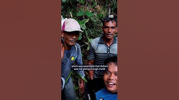 Rare Indonesian flower "rediscovered" | DW News