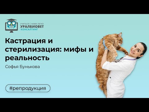 Кастрация и стерилизация:  мифы и реальность.  Лектор Софья Бунькова